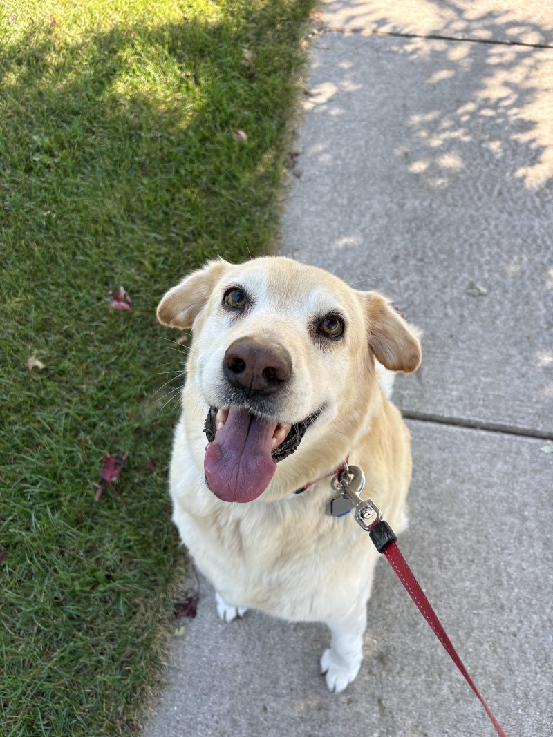 Playful moment during a visit