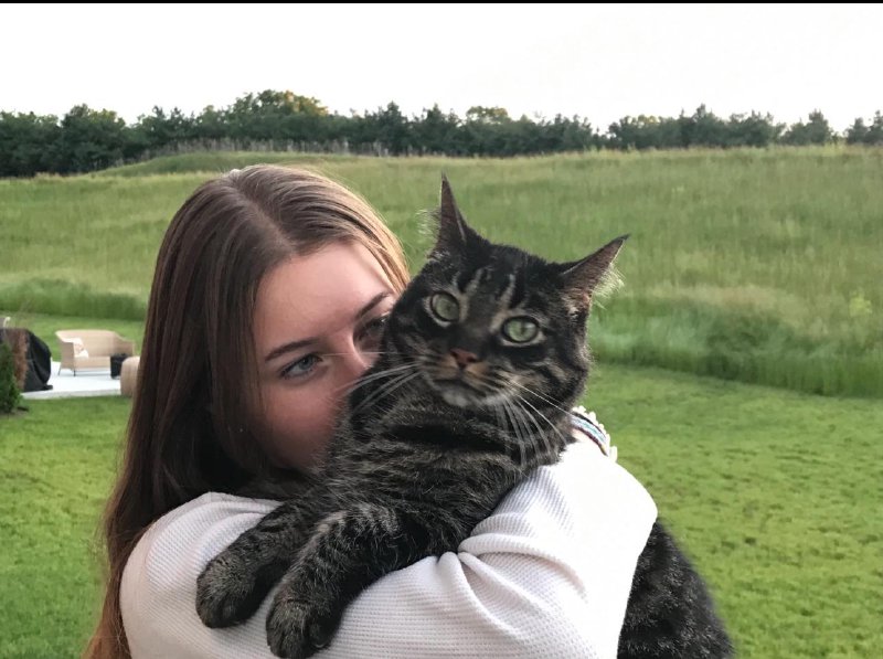 Playful pet during a visit